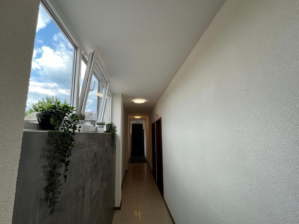 Fotografie z fotogalerie ubytování Apartmani Bosfor v destinaci Niška Banja