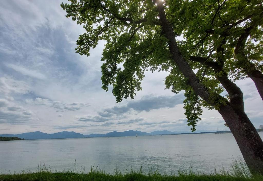 Chiemsee /Seeblick/ Netflix, SeeonSeebruck Aktualisierte Preise für 2023