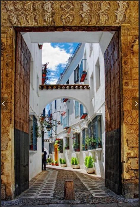 Fotografie z fotogalerie ubytování APARTAMENTO en la JUDERIA DE CORDOBA TANA S HOME v destinaci Córdoba