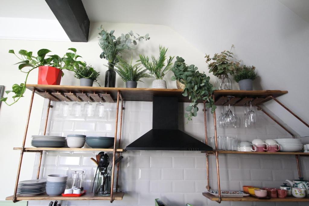 a kitchen with wooden shelves with plants on them at The Old Schoolhouse in Whitstable