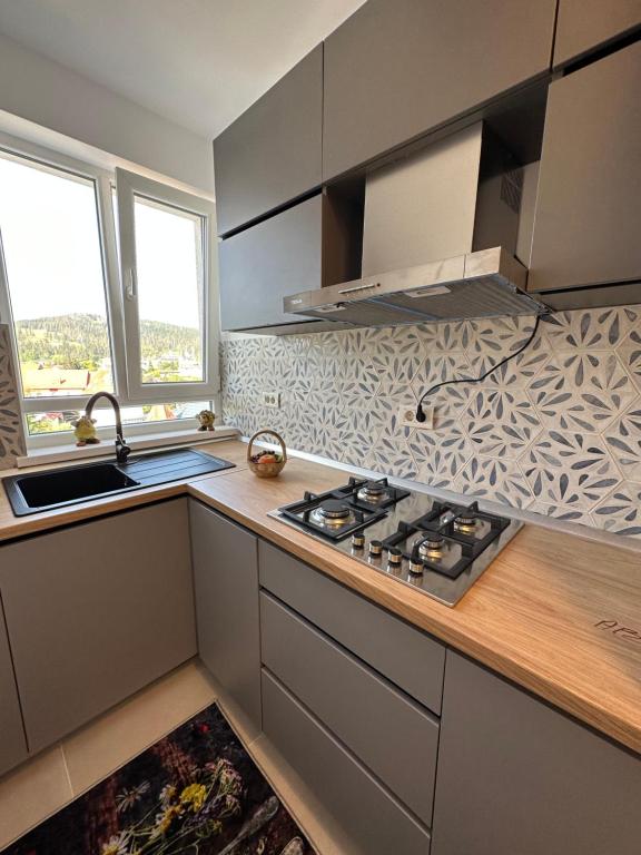 Apartamente Ariniș - Wohnung Mit Zwei Schlafzimmern