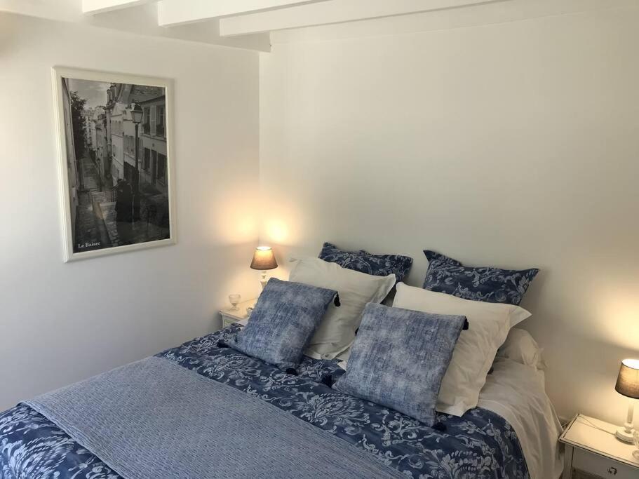 a bed with blue pillows in a white bedroom at Le Cabanon in Cosne Cours sur Loire