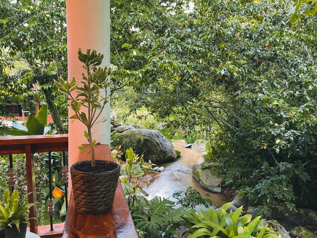 Zahrada ubytování Casa del Arroyo 2-Bedroom Cottage Fireplace and BBQ
