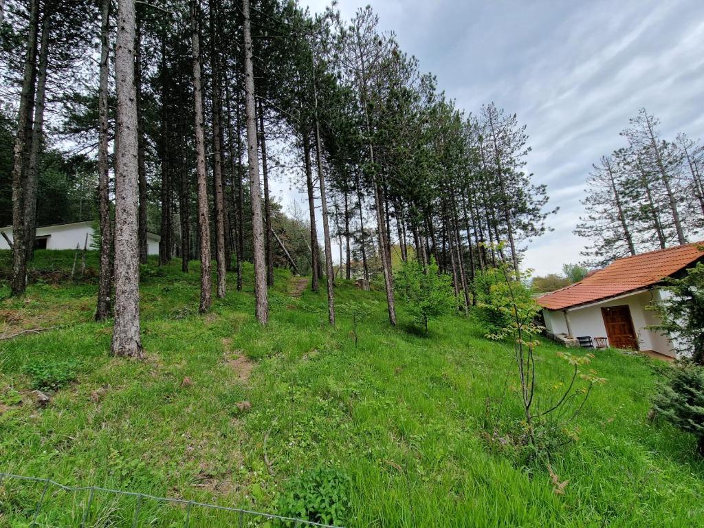 Příroda nedaleko hostelu