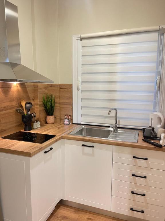 Kuchyň nebo kuchyňský kout v ubytování Arial Penthouse Suites