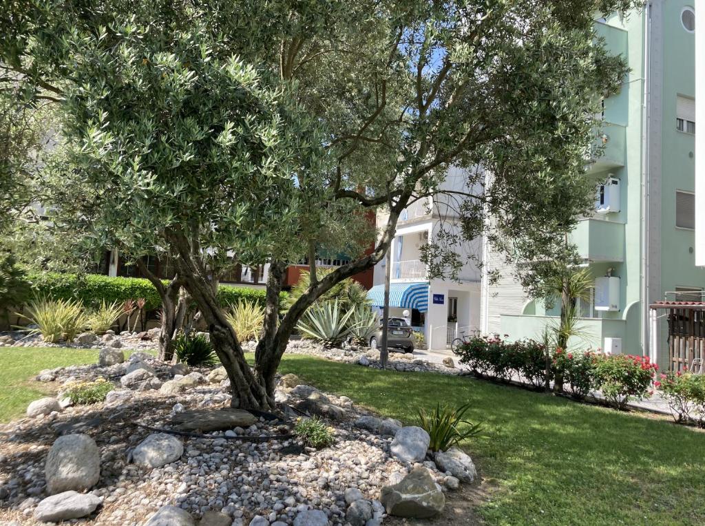 un árbol en un patio frente a un edificio en Villa Lisa - La quiete e il profumo del mare, en Grado