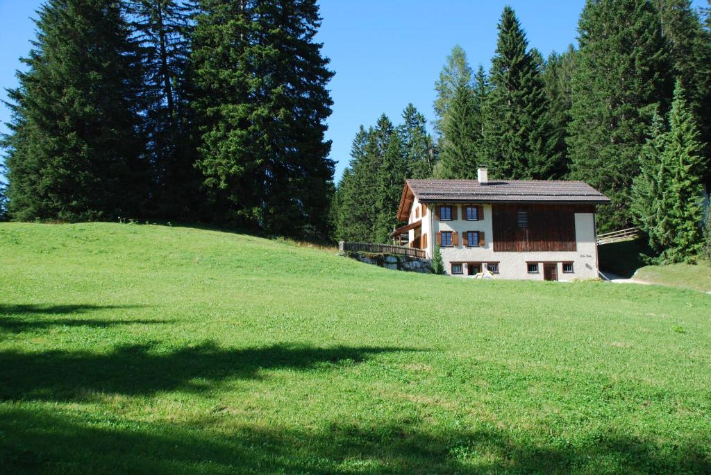 ein Haus auf einem grasbewachsenen Hügel mit Bäumen in der Unterkunft Acla Pala in Lenzerheide