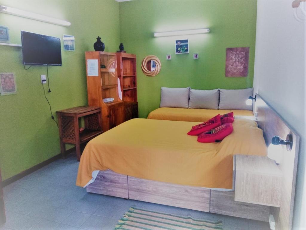 um quarto com uma cama grande num quarto com paredes verdes em RAIZ DEL CIELO, entre 2 jardines de ensueño em Córdoba
