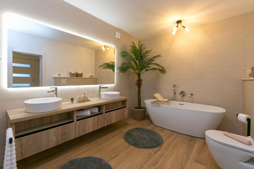 Apartment Vidra في بريلا: حمام به مغسلتين ومرآة كبيرة