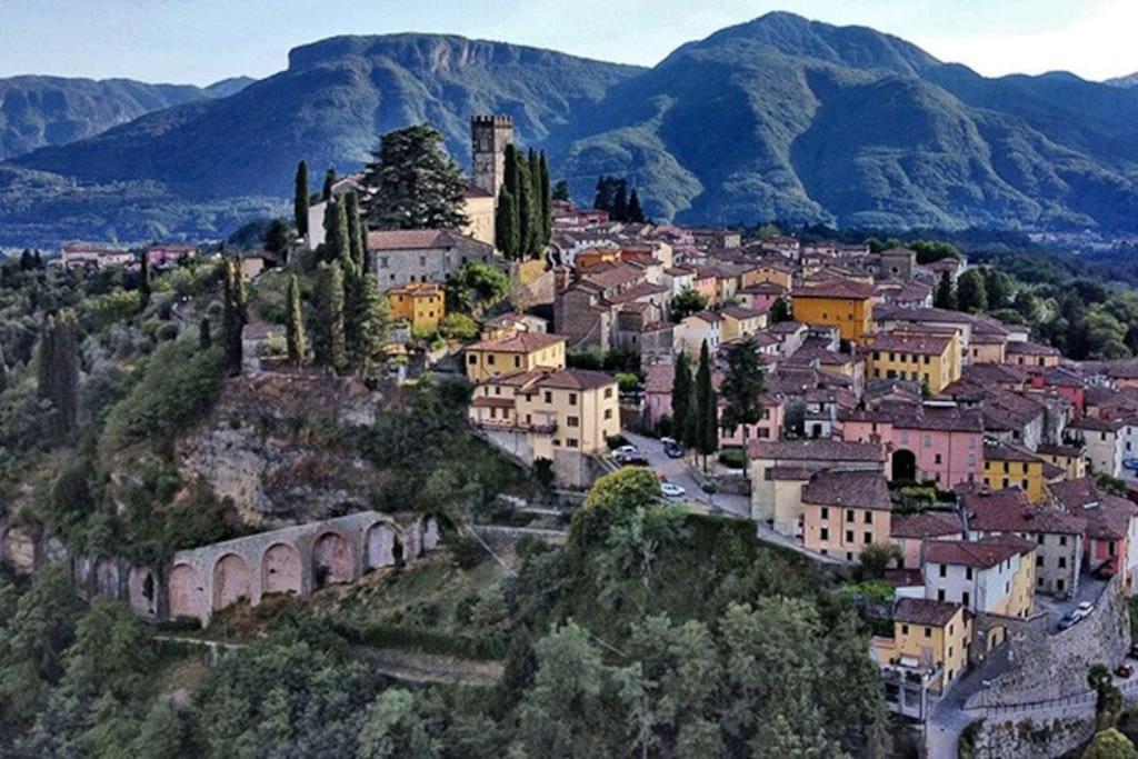 Tenuta Il Colle di Tiglio a vista de pájaro