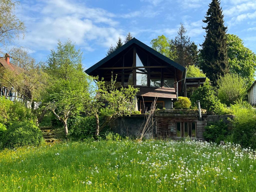 a house with a black roof in a field at Schlechtbacher Sägmühle in Gschwend