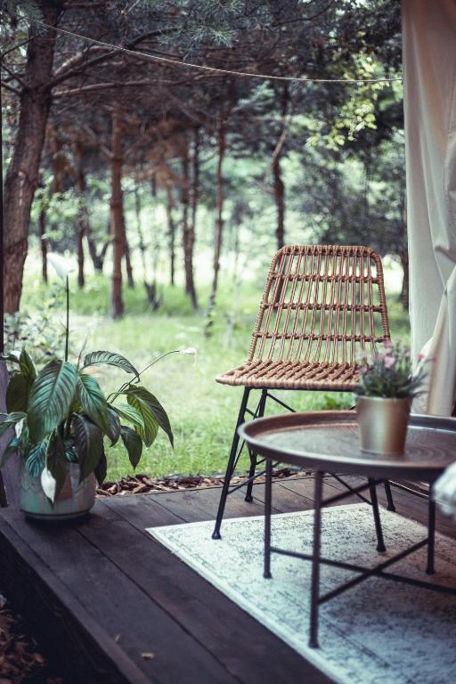 Zahrada ubytování Boho Park Glamping