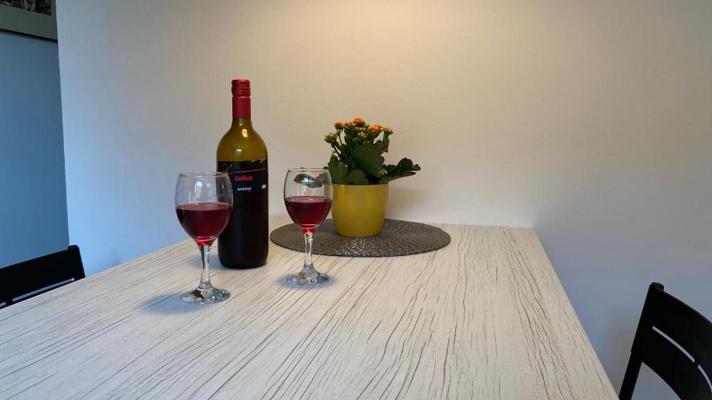 Nápoje v ubytování Apartma Nomad
