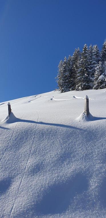 Chalet le Grenier des Crosets, Vue exceptionnelle sur les Dents du Midi v zimě