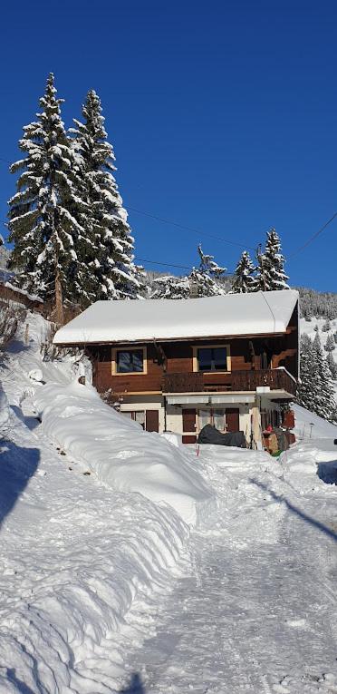 Chalet le Grenier des Crosets, Vue exceptionnelle sur les Dents du Midi v zimě