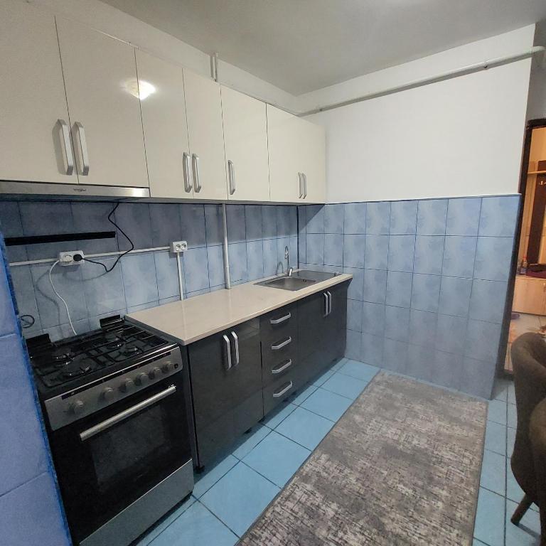 eine kleine Küche mit Herd und Spüle in der Unterkunft Apartament Sara in Bîrlad