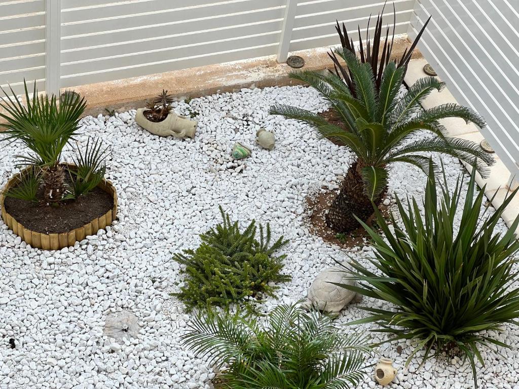 Residence Romeo - 18