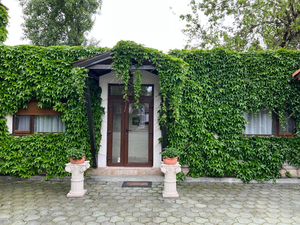 a house covered in green ivy with two plants at Vila Toscana in Timişoara