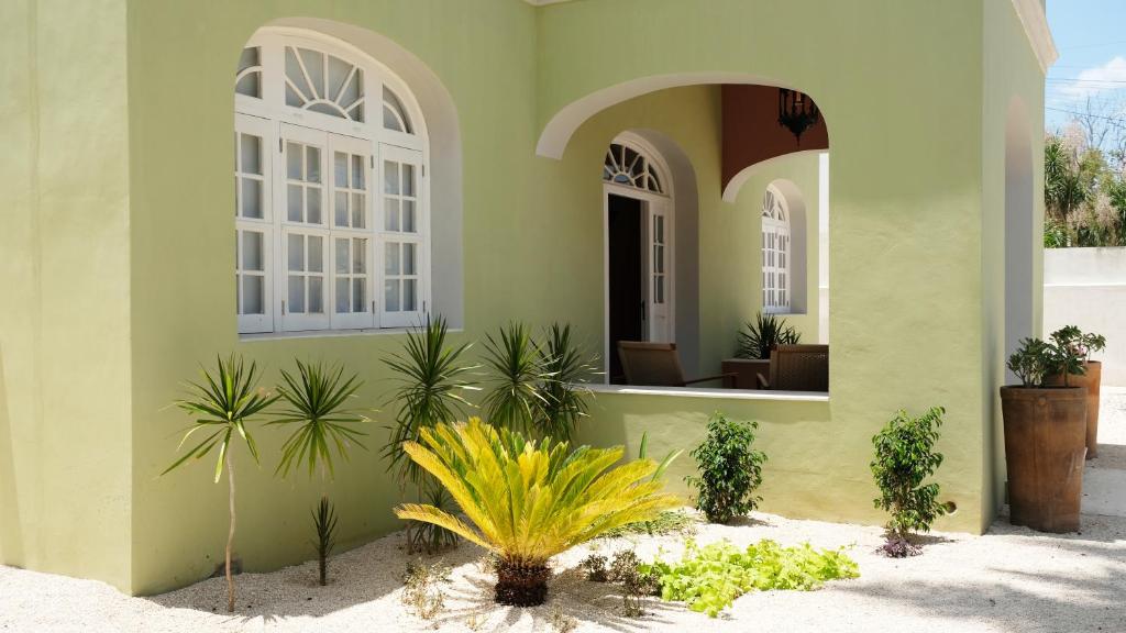 Zahrada ubytování ConSentido Tamarindo