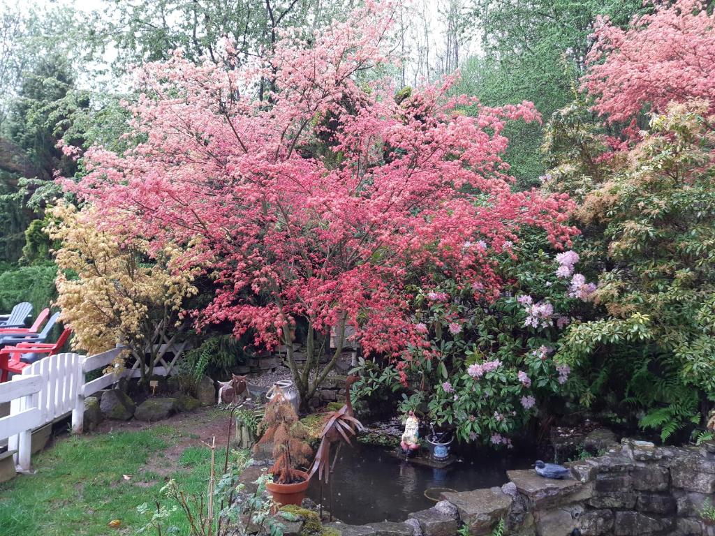 a garden with a tree with pink flowers and a pond at Studio à Ban de Sapt in Ban-de-Sapt