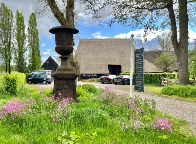 eine Stange im Gras neben einer Straße mit Autos in der Unterkunft Schaapskooi 20 in Dwingeloo