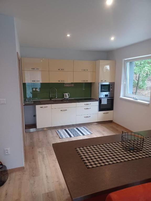 Kuchyň nebo kuchyňský kout v ubytování Apartmány Domaša Poľany