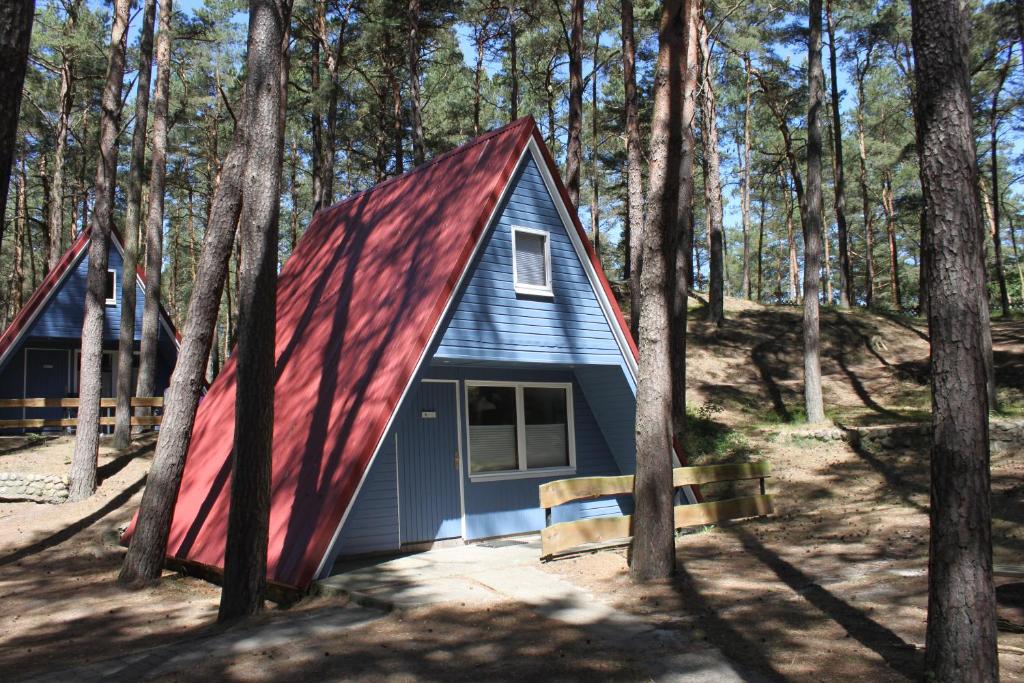 a tiny house with a red roof in the woods at Finndorf in Trassenheide