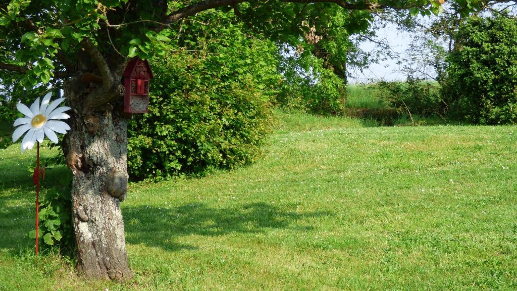 Chambre d'hôtes proche Chenonceau - 5