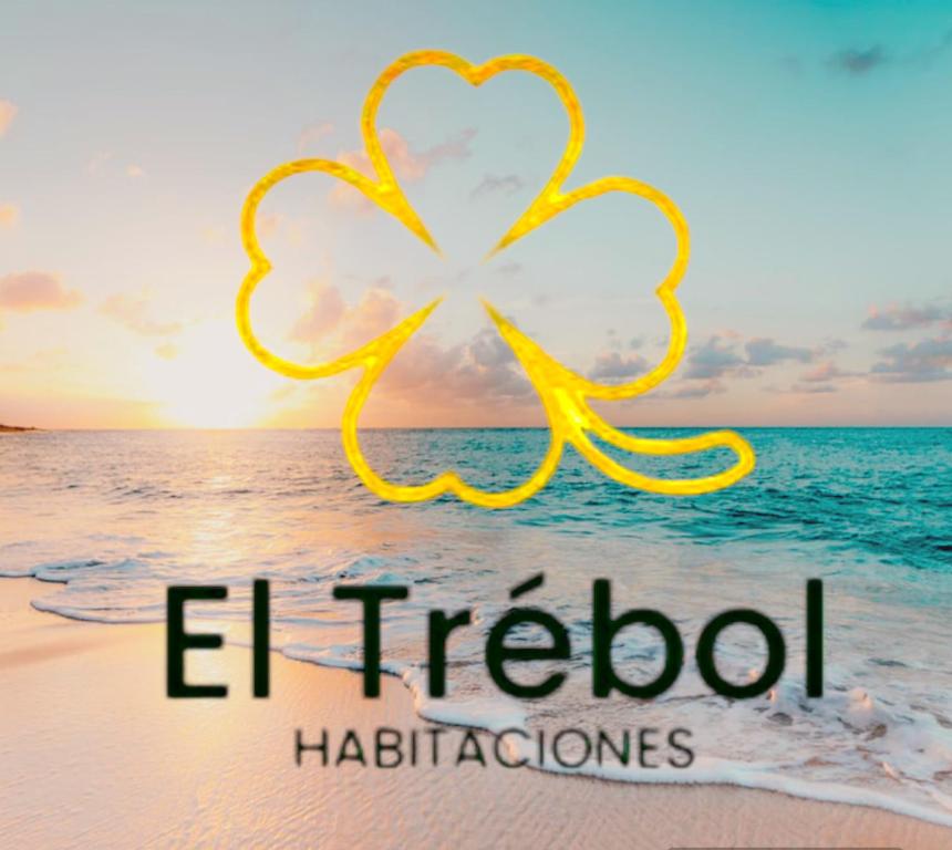 une photo des fibonhodhalations sur la plage dans l'établissement Habitaciones El Trébol, à Playas