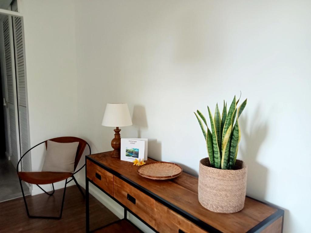 un tavolo con una pianta in vaso e una sedia di Mataiarii lodge a Papara
