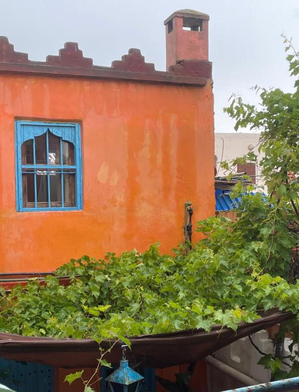 Zahrada ubytování Dar El Pirata Hostel