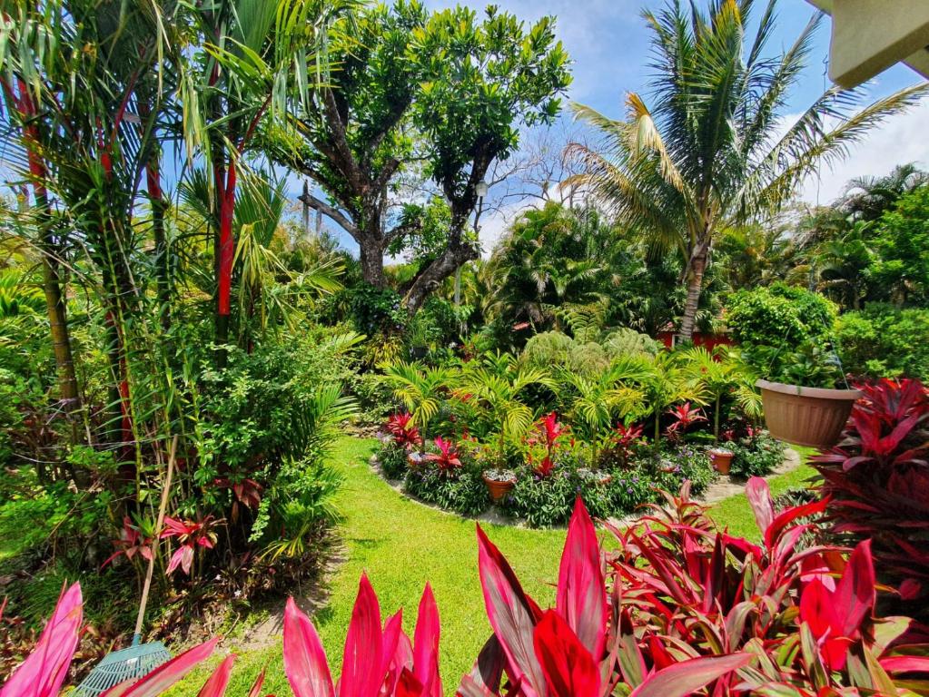 Jardín al aire libre en Cabaña Villa Victoria