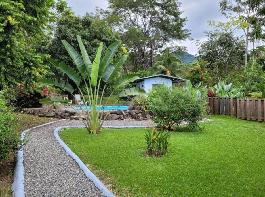 einen Garten mit einer Palme im Hof in der Unterkunft Spacious and relaxing property. in Ojochal