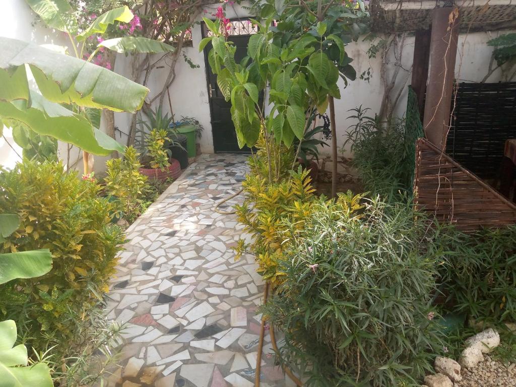 a garden with plants and a stone walkway at keur alain in Sali Nianiaral