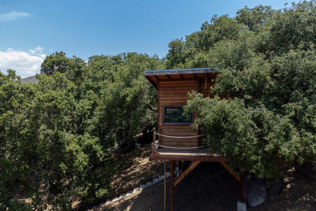 a tree house with a deck in the trees at Boskenvid Hotel Boutique, Skypool in Valle de Guadalupe