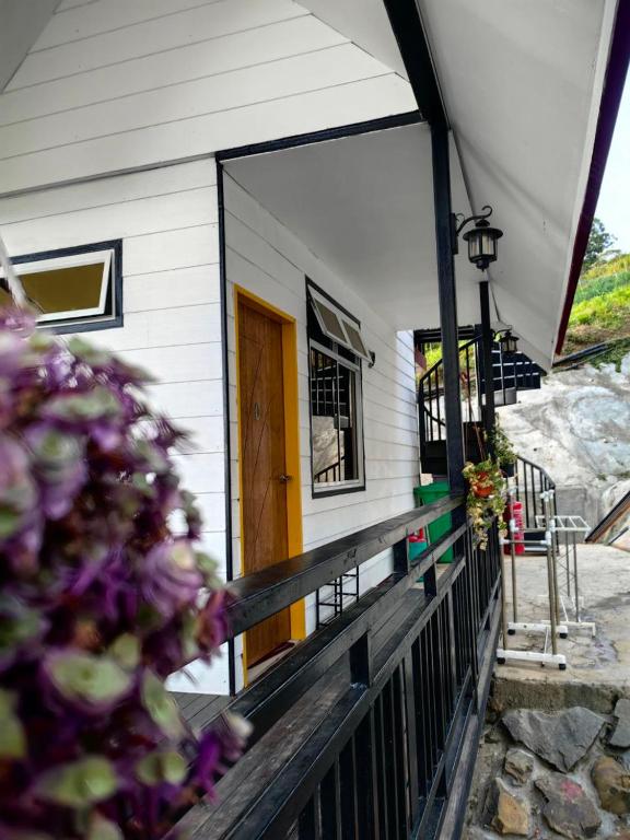 Fotografie z fotogalerie ubytování KUNDASANG MOUNT GARDEN v destinaci Kampong Kundassan