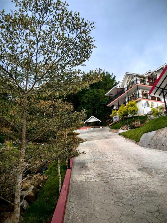 Zahrada ubytování KUNDASANG MOUNT GARDEN
