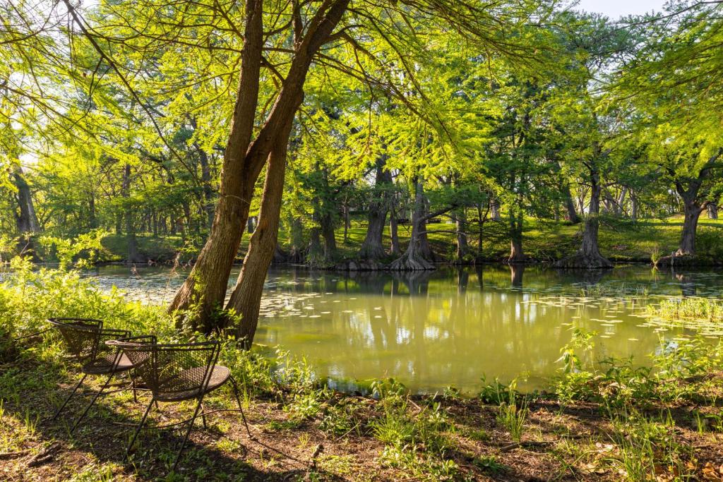 eine Bank neben einem Teich in einem Park in der Unterkunft Medina River Historic Cottage in Castroville