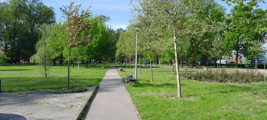 a path in a park with trees and a bench at Apartman 222 in Brčko