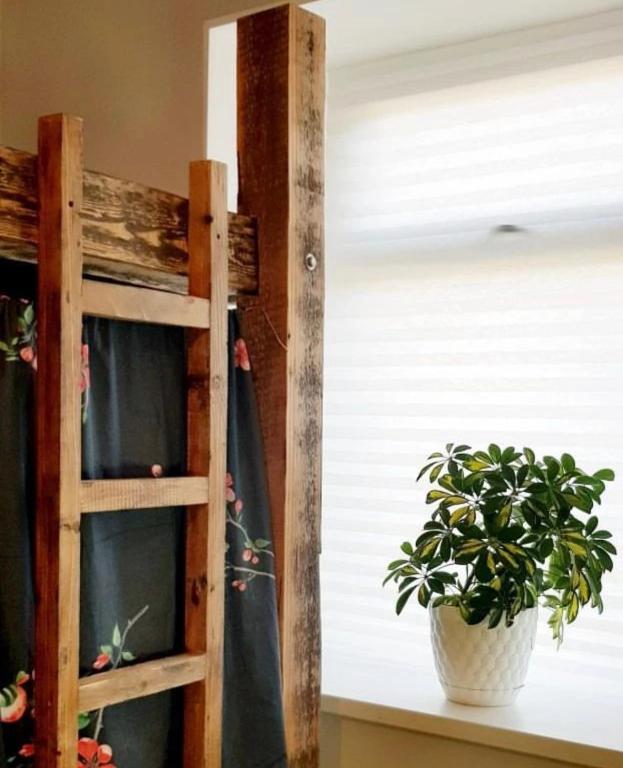 13+ Shelf With Plants