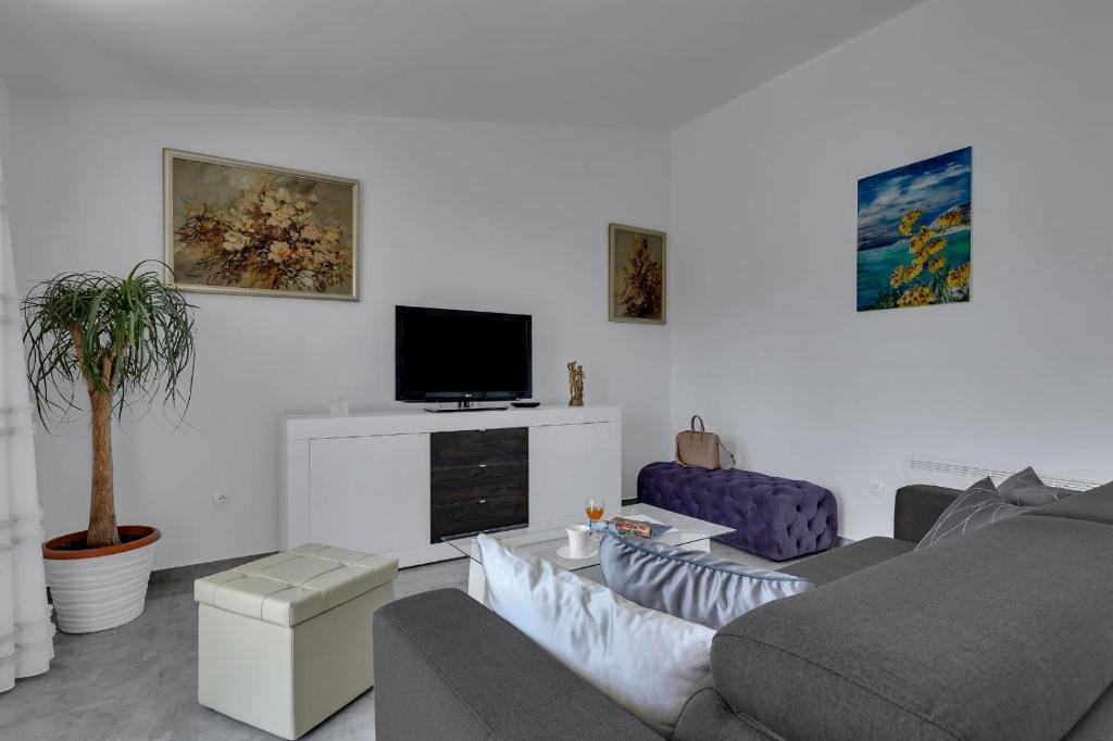 Televízia a/alebo spoločenská miestnosť v ubytovaní Ana Apartment