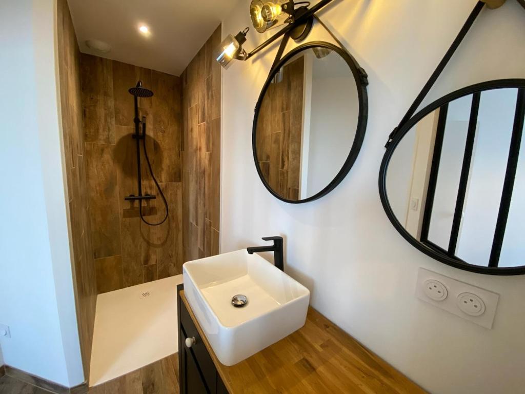 a bathroom with a sink and a mirror at L’escale 175 in Divatte sur Loire