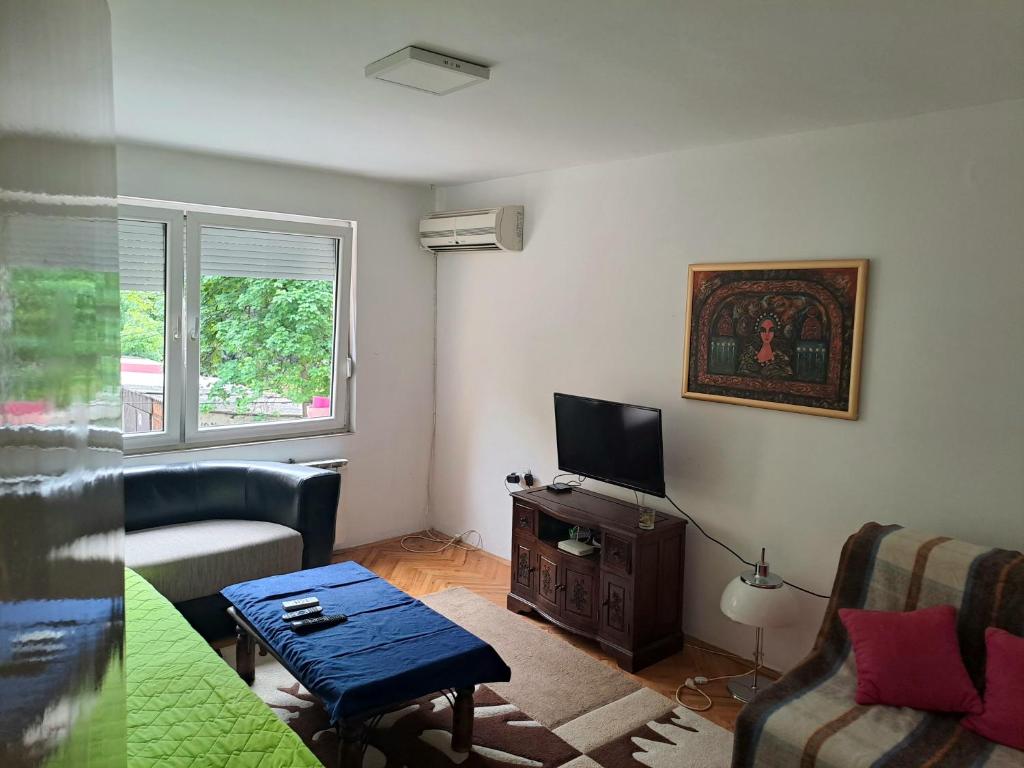 een woonkamer met een bank en een tv bij Dramski apartment in Skopje