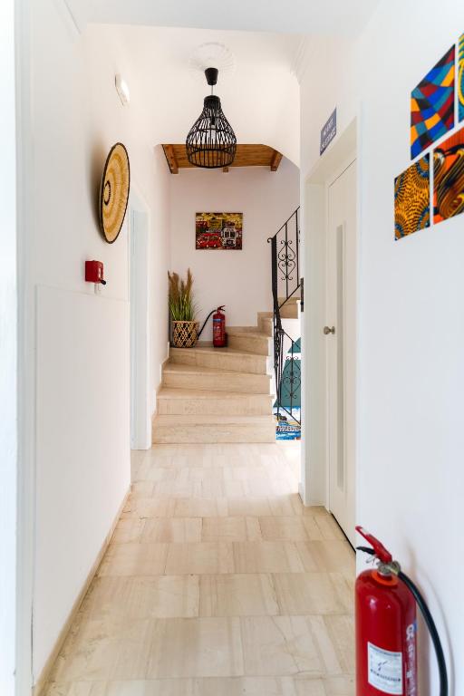 Kumba At Koum Kapi - Resim 18