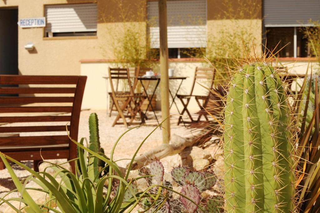 Fotografie z fotogalerie ubytování Hôtel Les Mimosas v destinaci Argelès-sur-Mer