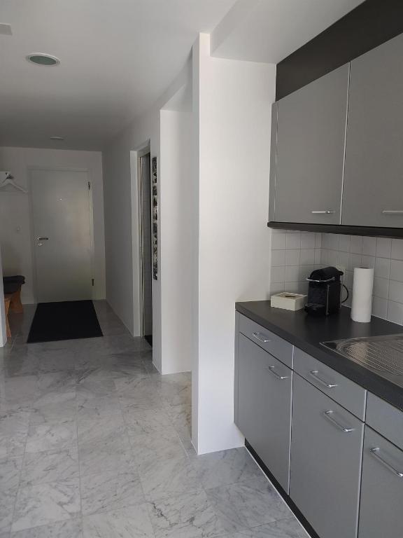 Kuchyň nebo kuchyňský kout v ubytování Haus Rovina
