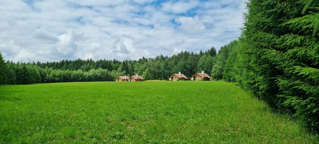 a large green field with houses in the distance at Chatky Apollo na Vysočině in Nové Město na Moravě
