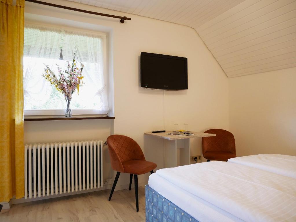 TV a/nebo společenská místnost v ubytování Seebach-Hotel