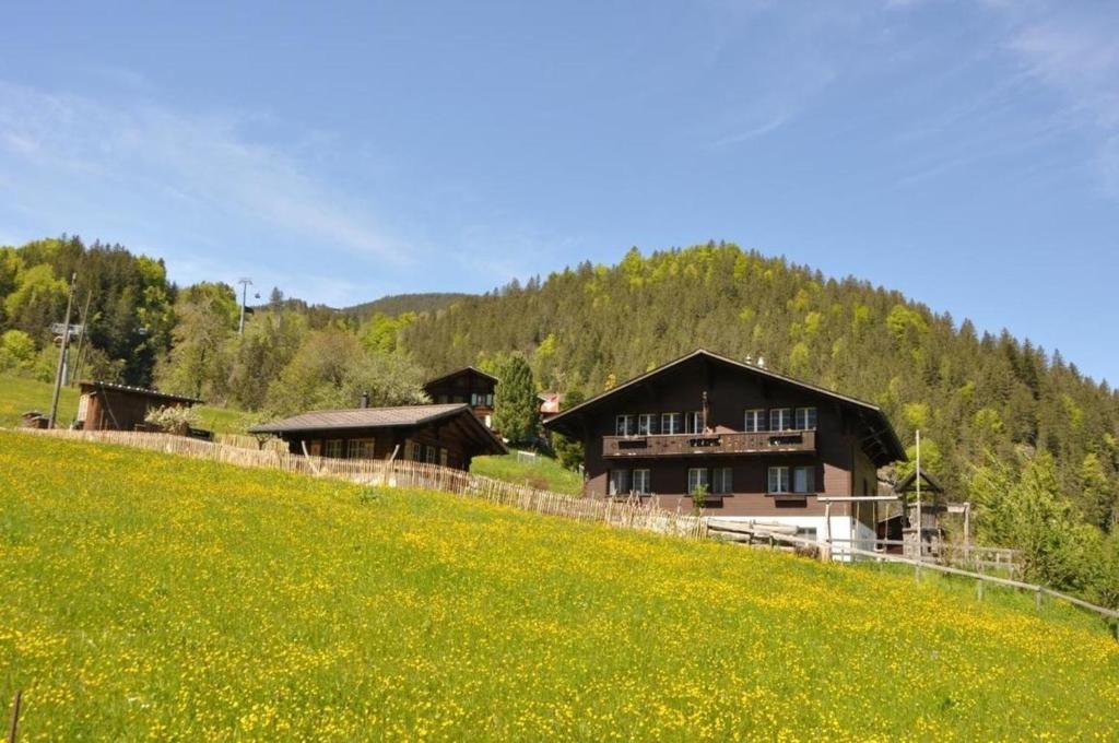 ein Haus auf einem Hügel mit einem Blumenfeld in der Unterkunft Ferienwohnung im Chalet Adelheid in Grindelwald