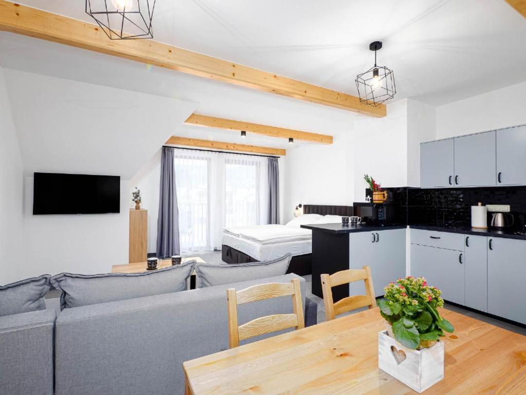 a living room with a couch and a kitchen at Studio Apartment with Mountain View in Zakopane